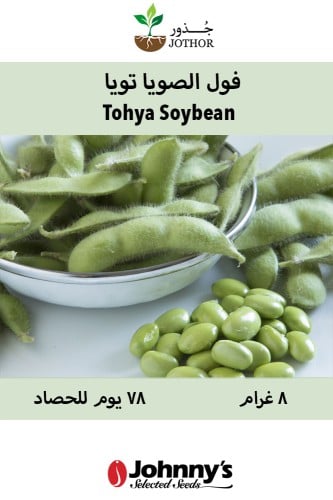 بذور فول الصويا jويا - Tohya Soybean Seed