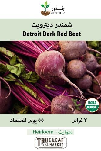 بذور شمندر ديترويت - Beet Seeds - Detroit Dark Red