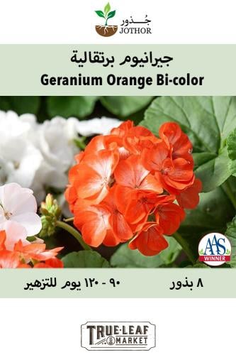 بذور جيرانيوم برتقالي - Orange Bi-color Geranium Seeds