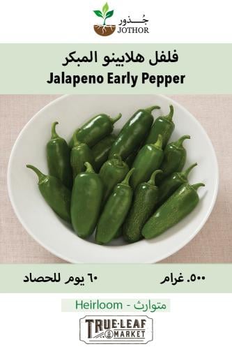 بذور فلفل هالبينو مبكر - Pepper Seeds - Hot - Jalapeno Early