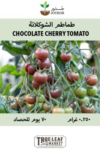بذور طماطم الشوكولاتة متسلق - Tomato Chocolate Cherry