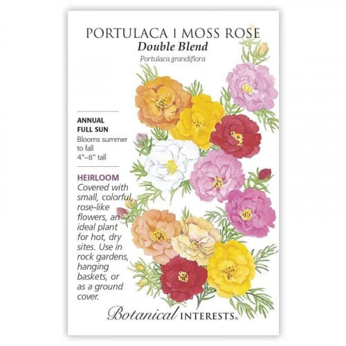 بذور صباح الخير - Portulaca Moss Rose Double Blend...