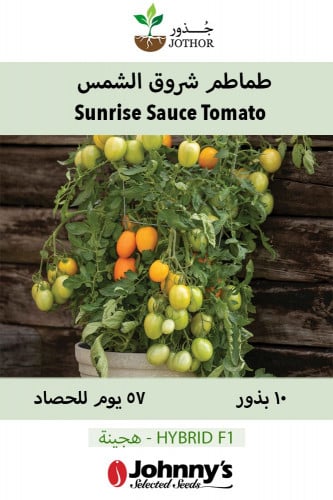بذور طماطم شروق الشمس - Sunrise Sauce (F1) Tomato Seed