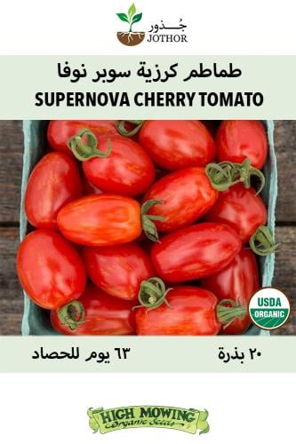 بذور طماطم كرزية سوبر نوفا - SUPERNOVA CHERRY TOMATO Seeds