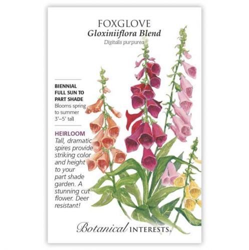 بذور قفاز الثعلب الملونة - Gloxiniiflora Blend Foxglove Seeds