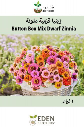 بذور زينيا قزمية ملونة - Button Box Mix Zinnia Dwarf Seeds