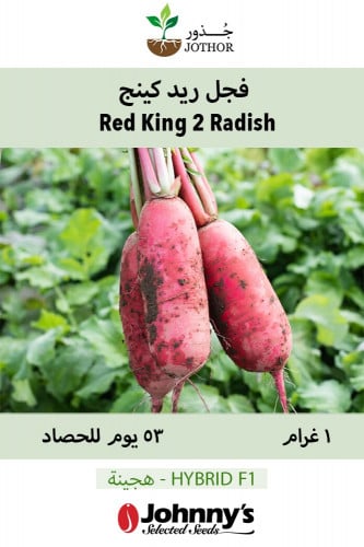 بذور فجل ريد كينج - Red King 2 Radish Seeds