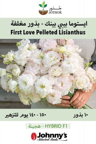بذور ايستوما بيبي بينك - Voyage 2 First Love Pelleted Lisianthus Seeds