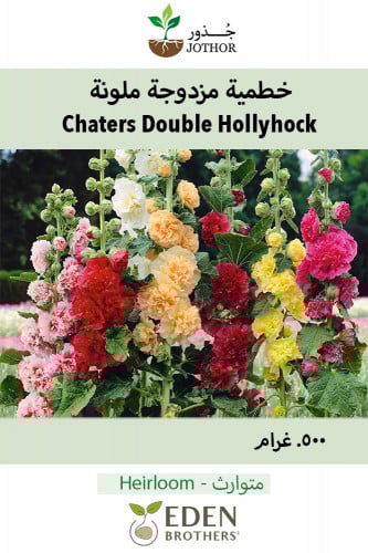 بذور خطمية مزدوجة ملونة - Chaters Double Hollyhock Seeds