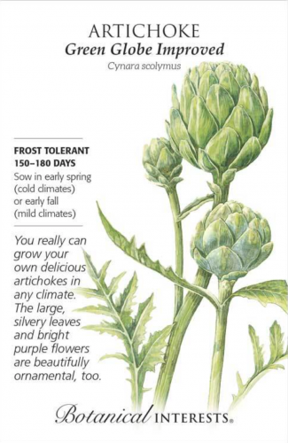 بذور ارضي شوكي - Artichoke Green Globe Improved Seeds