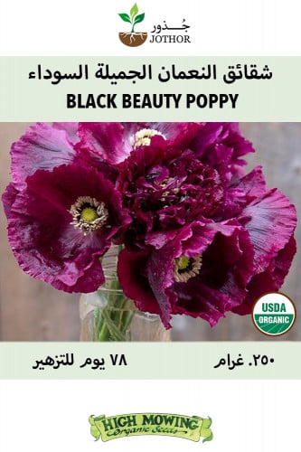 بذور شقائق النعمان الجميلة السوداء - Black Beauty Poppy Seeds