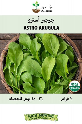 بذور جرجير استرو - Astro Arugula Seeds