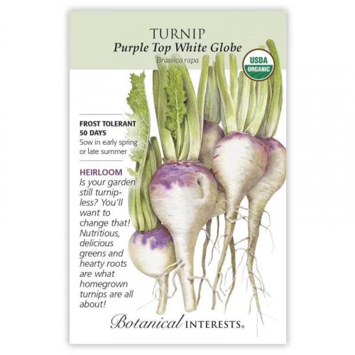 بذور لفت بنفسجي عضوي - Turnip, Purple Top White Globe Turnip Seeds