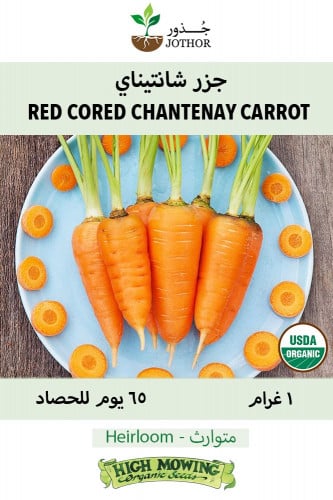بذور جزر  شانتيناي - Red Cored Chantenay Carrot Seeds