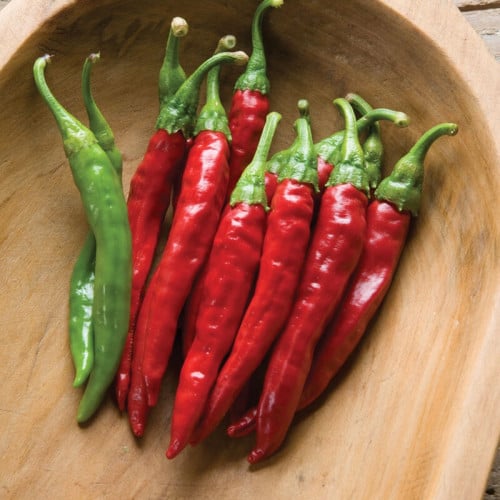 بذور فلفل كايين - Red Rocket Organic Cayenne Pepper Seeds