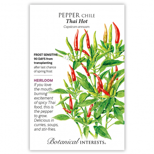 بذور فلفل تايلاندي - Pepper Chile Thai Hot Seeds