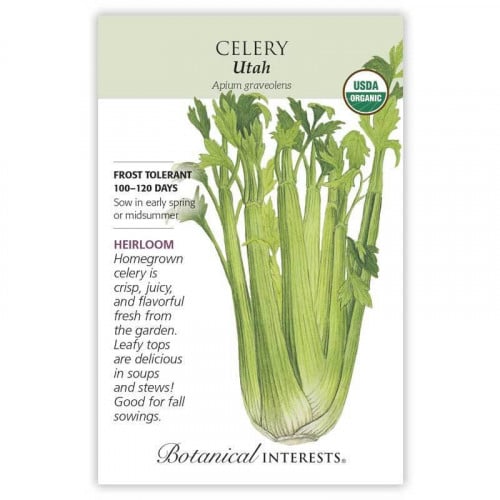 بذور كرفس عضوي - Utah Celery Seeds