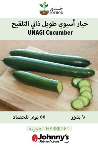 بذور خيار اسيوي طويل ذاتي التلقيح - UNAGI F1 Cucumber Seeds