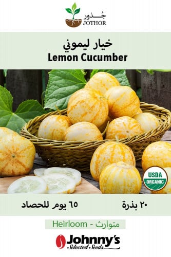 بذور خيار ليموني - Lemon Cucumber Seeds