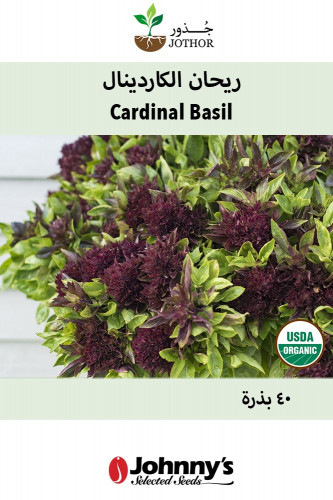 بذور ريحان الكاردينال - Cardinal Organic Basil See...