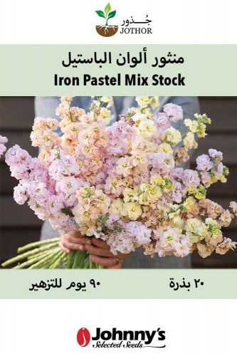بذور منثور / ستوك ألوان الباستيل - Iron Pastel Mix Stock Seeds