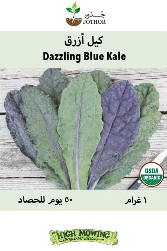 بذور كيل أزرق - Dazzling Blue Kale Seeds