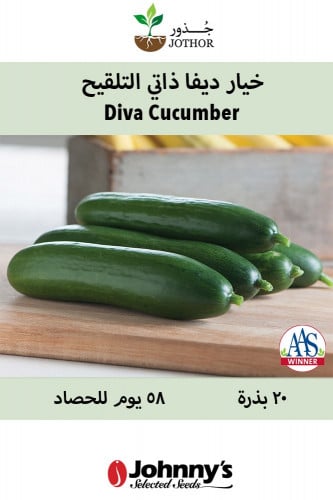 بذور خيار ديفا ذاتي التلقيح - Diva Cucumber Seeds