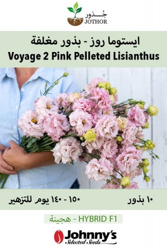 بذور ايستوما روز - Voyage 2 Pink Improved Pelleted...