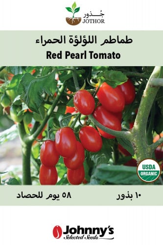 بذور طماطم اللؤلؤة الحمراء -  Red Pearl Organic Tomato Seed