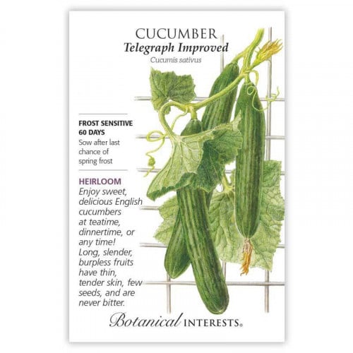 بذور خيار انجليزي - Cucumber, English Telegraph Improved Cucumber Seeds