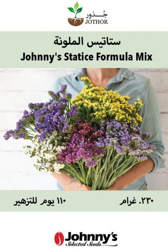بذور ستايتس الملونة - Johnny's Statice Formula Mix Statice Seed