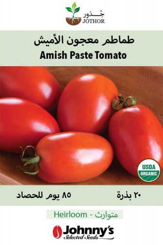 بذور طماطم معجون الاميش - Amish Paste Organic Tomato Seed