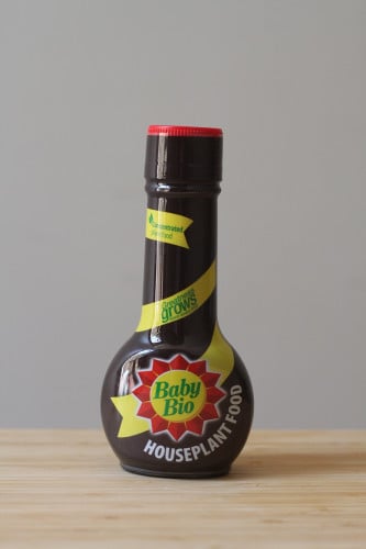 مغذي للنبتات الداخلية - Baby Bio Houseplant Food