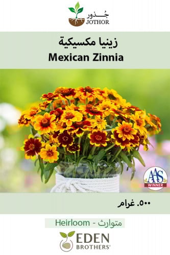بذور زينيا مكسيكية - Mexican - Persian Carpet Zinn...