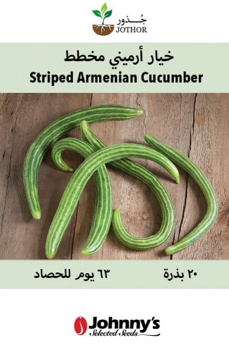 بذور خيار ارميني - Striped Armenian Cucumber Seeds