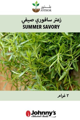 بذور زعتر سافوري صيفي - Summer Savory Seeds