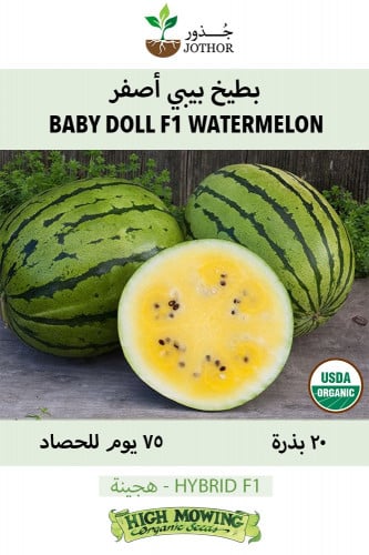 بذور بطيخ بيبي أصفر - Baby Doll F1 Watermelon Seed...