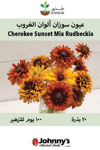 عيون سوزان ألوان الغروب - Cherokee Sunset Mix Rudbeckia