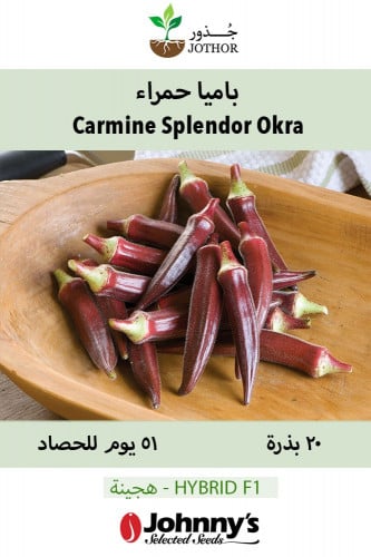 بذور بامية حمراء - Carmine Splendor Okra Seed