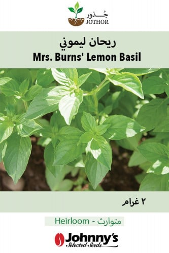 بذور ريحان ليموني - Mrs. Burns' Lemon Basil Seeds