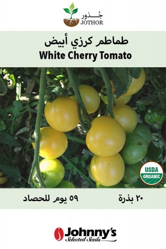 بذور طماطم كرزي أبيض - White Cherry Tomato Seeds