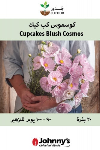 بذور كوسموس كب كيك - Cupcakes Blush Cosmos Seeds