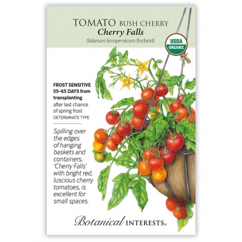 بذور طماطم كرزية قزمية - Cherry Falls Bush Cherry Tomato seeds