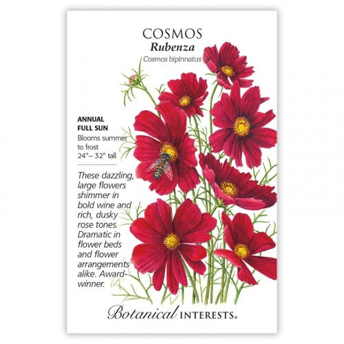 بذور كوسموس روبنزا - Rubenza Cosmos Seeds