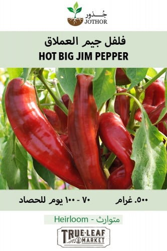 بذور فلفل جيم العملاق - Pepper Hot Big Jim Seeds