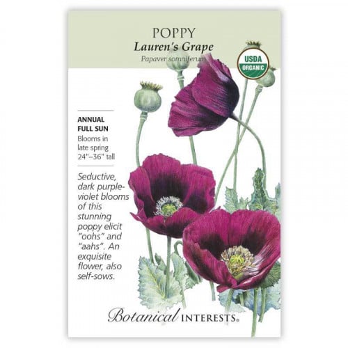 شقائق النعمان - Poppy Bread Lauren's Grape