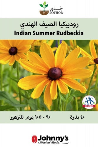 بذور رودبيكيا الصيف الهندي - Indian Summer Rudbeckia Seed
