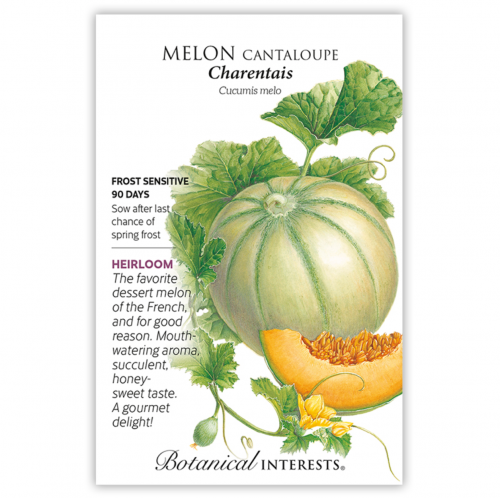 بذور شمام - Melon Charentais Seeds