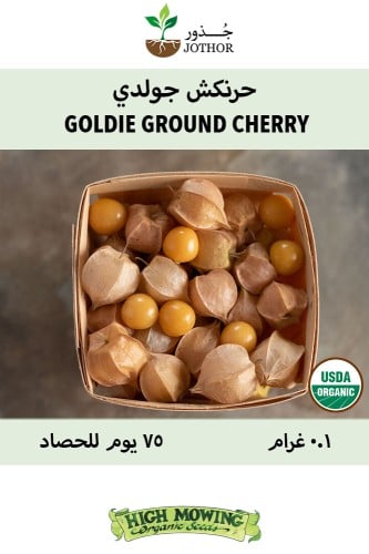 حرنكش جولدي - Goldie Ground Cherry Seeds