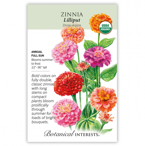 بذور زينيا ليليبوت - Zinnia Lilliput Seeds